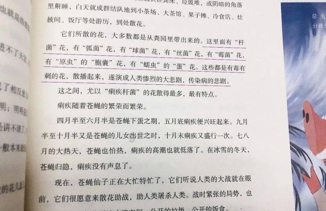 可爱小猫向上跳