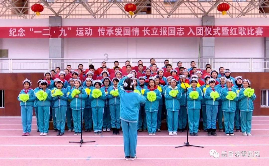 动物帮帮忙保卫家园