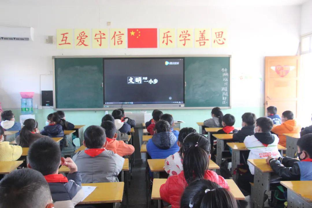 胖小猫救援